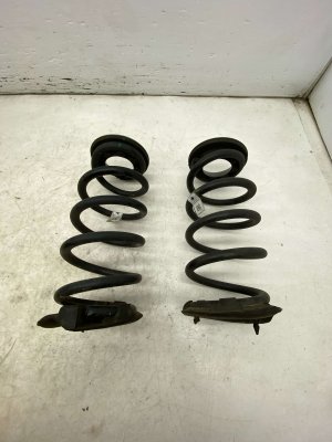  Tesla Model 3 Coil Spring Set - Rear (Used OEM)