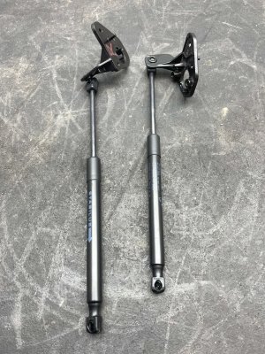 2024-2026 Tesla 3 Hood Lift Support Strut Set - Front (Used OEM)