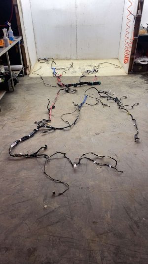  Tesla Model 3 Body Wiring Harness (Used OEM)