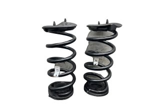  Tesla Model 3 Suspension Coil Spring Set - Rear (Used OEM)