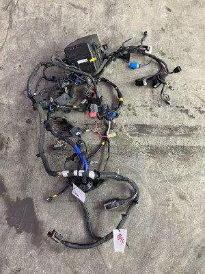 2023 Toyota Highlander Engine Bay Wiring Harness (Used OEM)