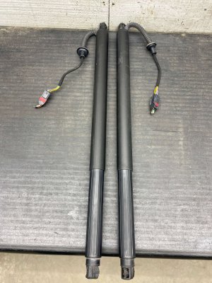 2022-2025 Kia Telluride Power Liftgate Support Strut Set - Rear (Used OEM)