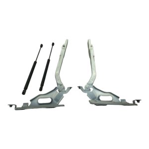 2018-2024 Lincoln Navigator Hood Hinge and Strut Set - Front, Right (Passenger) (Used OEM)