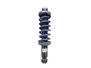 2017-2023 Audi R8 Suspension Strut Assembly - Rear, Left (Driver) (Used OEM)