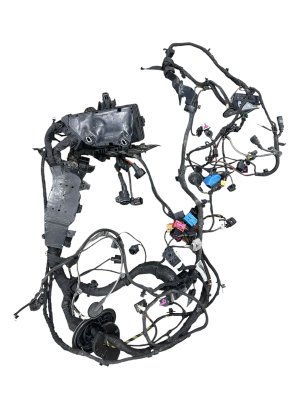 2016-2023 Audi TT Engine Wiring Harness (Used OEM)