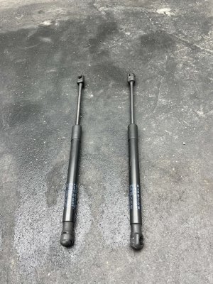 2017-2023 Tesla 3 Hood Lift Support Strut Set - Front (Used OEM)