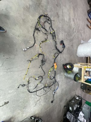 2021-2025 Kia Sorento Body Wiring Harness (Used OEM)