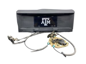 2003-2005 Hummer H2 Rear License Plate Pocket Cover with Liftgate Handle and Lock Latch (Used OEM)