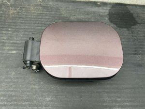 2021-2026 Buick Envision Brown Fuel Filler Door Assembly with Pocket - Rear (Used OEM)