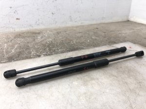 2019-2024 Nissan Murano Hood Lift Support Strut Set (Used OEM)