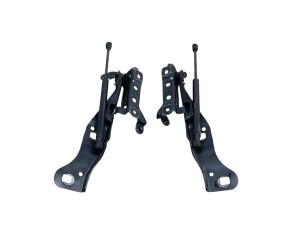 2021-2025 Ford F-150 Hood Hinge and Lift Support Cylinder Set - Left (Driver) (Used OEM)