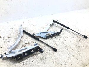 2015-2020 Ford F-150 Hood Hinge and Lift Strut Set - Front, Left (Driver) (Used OEM)