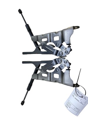 2019-2023 Genesis G70 Hood Hinge and Strut Assembly Set - Front, Left (Driver) (Used OEM)