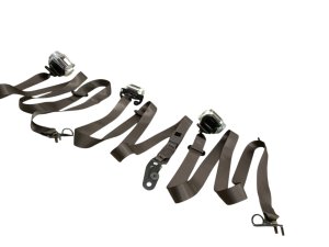 2022-2025 Ford F-150 Lightning Java (Brown) Right and Center Seat Belt Assembly Set - Rear, Left (Driver) (Used OEM)