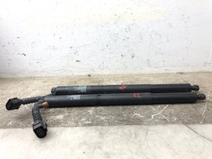 2022-2024 Lucid Air Power Tailgate Lift Cylinder Motor Set (Used OEM)
