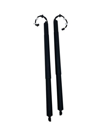 2019-2025 Audi Q8 Power Tailgate Lift Support Strut Set - Rear, Left (Driver) (Used OEM)