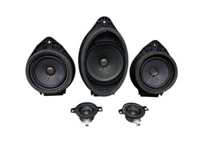 2020-2024 Cadillac XT6 Bose Door Speaker and Tweeter Set - Front (Used OEM)