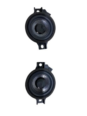 2022-2024 Lucid Air Audio Radio Speaker (Used OEM)