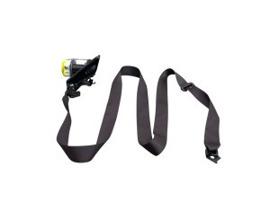2018-2022 Lexus RX350L Brown 2nd Row Outer Seat Belt Assembly - Rear, Right (Passenger) (Used OEM)