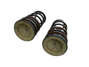 2024-2025 Toyota Land Cruiser Coil Spring Set - Rear (Used OEM)