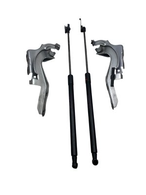 2016-2022 Lexus RX450h Hood Hinge and Lift Cylinder Support Set - Front, Left (Driver) (Used OEM)