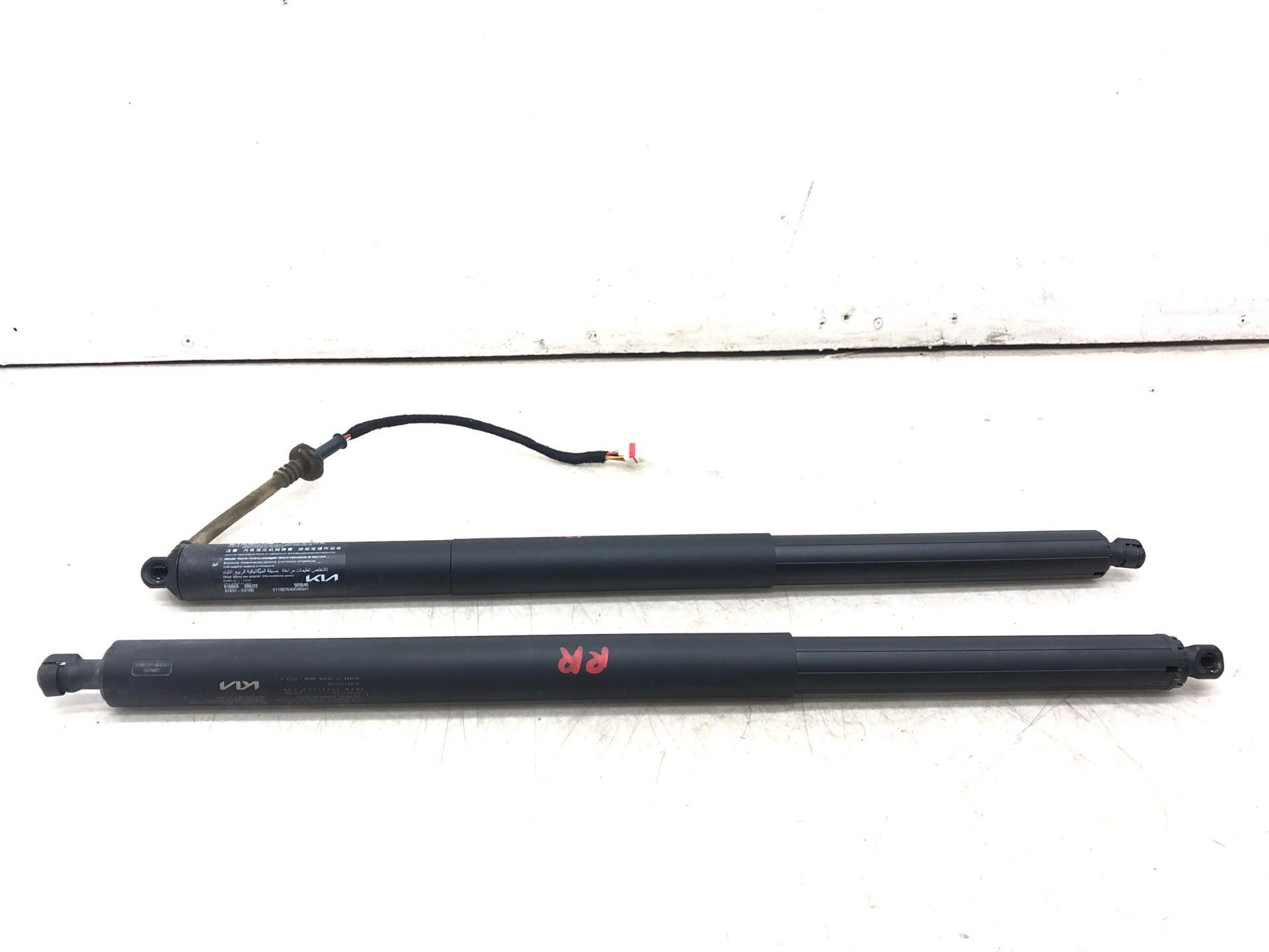 2022-2025 Kia EV6 Power Tailgate Lift Cylinder Actuator with Pull Down Motor - Rear (Used OEM)