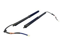 2019-2024 Lexus UX250h Liftgate Lift Support Strut Set - Rear (Used OEM)