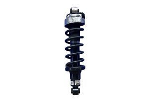 2018-2023 Audi S5 Suspension Strut Assembly - Rear, Right (Passenger) (Used OEM)