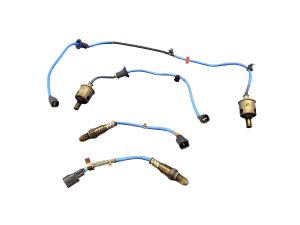 2016-2025 Lexus IS300 Upstream and Downstream Oxygen Sensor Set (Used OEM)