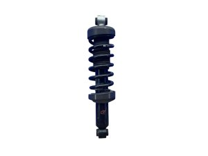 2017-2023 Audi R8 Suspension Strut Assembly - Rear, Left (Driver) (Used OEM)