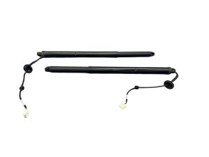 2023-2024 Fisker Ocean Power Liftgate Lift Support Strut Set - Rear (Used OEM)
