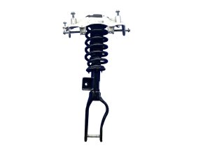  Tesla Model 3 Suspension Strut Assembly - Front, Right (Passenger) (Used OEM)