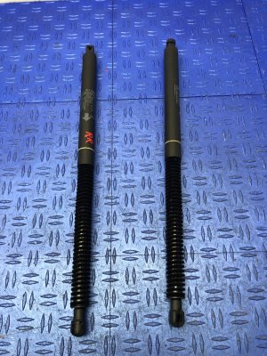 2012-2017 BMW 650i Trunk Lid Lift Support Strut Set - Rear (Used OEM)