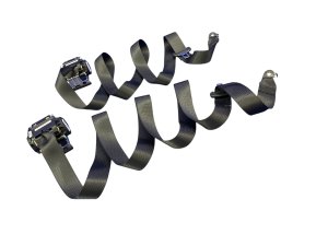  Tesla Model 3 Black Seat Belt Assembly Set - Rear, Left (Driver) (Used OEM)