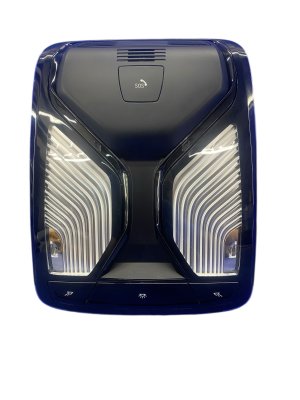 2019-2025 BMW 328i Black Overhead Console Map Light Assembly - Front (Used OEM)