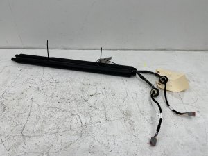 2018-2024 Lincoln Navigator Power Liftgate Lift Support Strut Set - Rear, Left (Driver) (Used OEM)