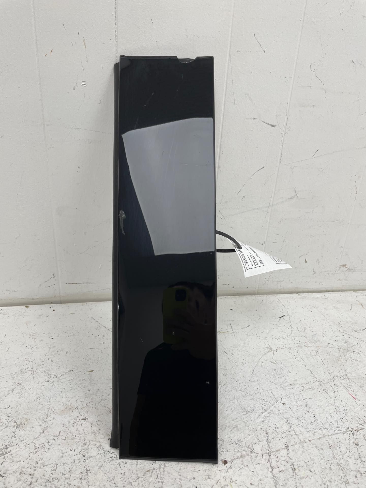 2018-2024 Lincoln Navigator Door Molding Trim Panel - Rear, Right (Passenger) (Used OEM)