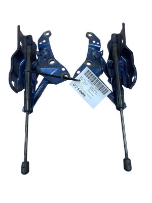 Tesla Model x Hood Hinge Set - Front, Left (Driver) (Used OEM)