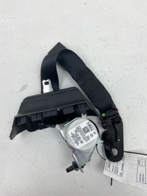 2021-2025 Ford F-150 Center Seat Belt Assembly - Rear, Left (Driver) (Used OEM)