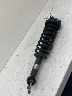 2015-2020 Ford F-150 Front Suspension Strut Assembly (Used OEM)