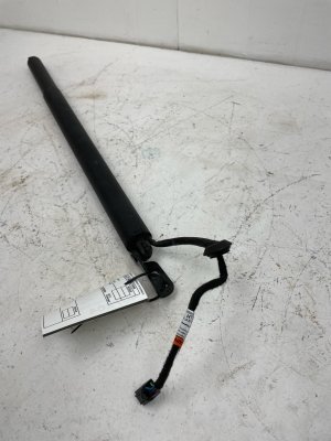 2020-2022 Hyundai Palisade Power Tailgate Liftgate Motor Support Strut - Rear, Left (Driver) (Used OEM)