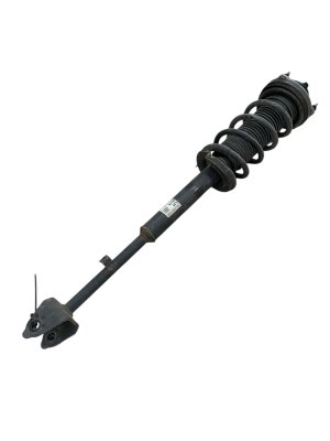 2002-2005 Porsche 911 Suspension Strut and Shock Absorber Assembly - Rear, Left (Driver) (Used OEM)