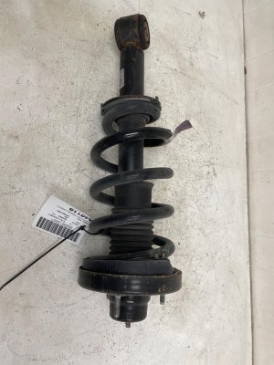 2022-2024 Ford Expedition Standard Suspension Strut Assembly - Rear, Left (Driver) (Used OEM)