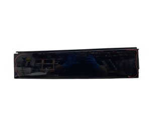 2022-2025 Ford F-150 Lightning Door Applique Molding - Rear (Used OEM)