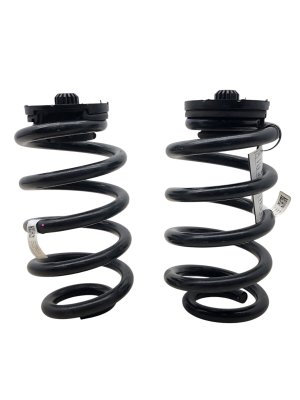 2022-2025 Lucid Air Rear Coil Spring Set (Used OEM)