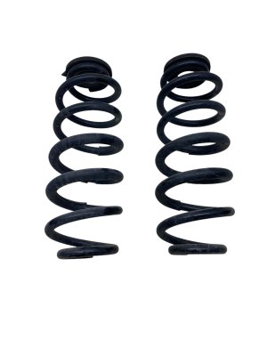 2023-2025 Lexus RX350 Suspension Coil Spring Set - Rear (Used OEM)