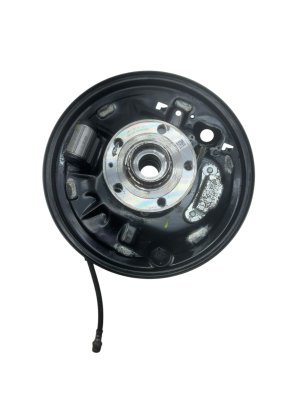 2022-2025 Audi Q4 e-tron Suspension Spindle and Wheel Hub Assembly - Rear, Left (Driver) (Used OEM)