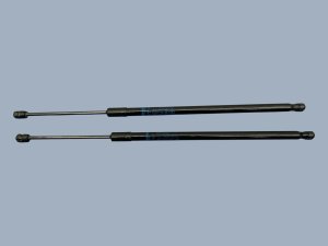 2025-2027 Nissan Kicks Hatch Lift Support Strut Set - Rear (Used OEM)
