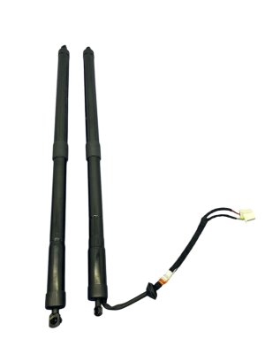 2019-2025 Honda Passport Power Tailgate Liftgate Motor Strut Set (Used OEM)