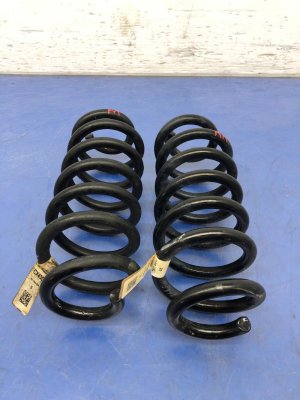 OEM Suspension Coil Spring Set for 2021-2024 Ford BRONCO SPORT, Bronco Sport - Rear (OEM)